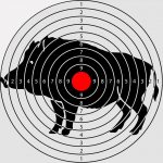 Мишени для пневматики