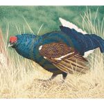 Мишень армированная JVD Animal Face Blue-Grouse