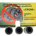 Патрон звуковой резьбовой "Гром"